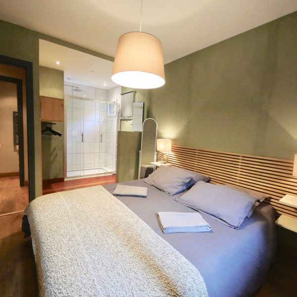 Location-vacances-bourgdoisans-alpedhuez-houseInAlpes-13